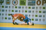 Чемпионат России по самбо 