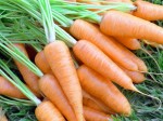 Морковь без хлопот 